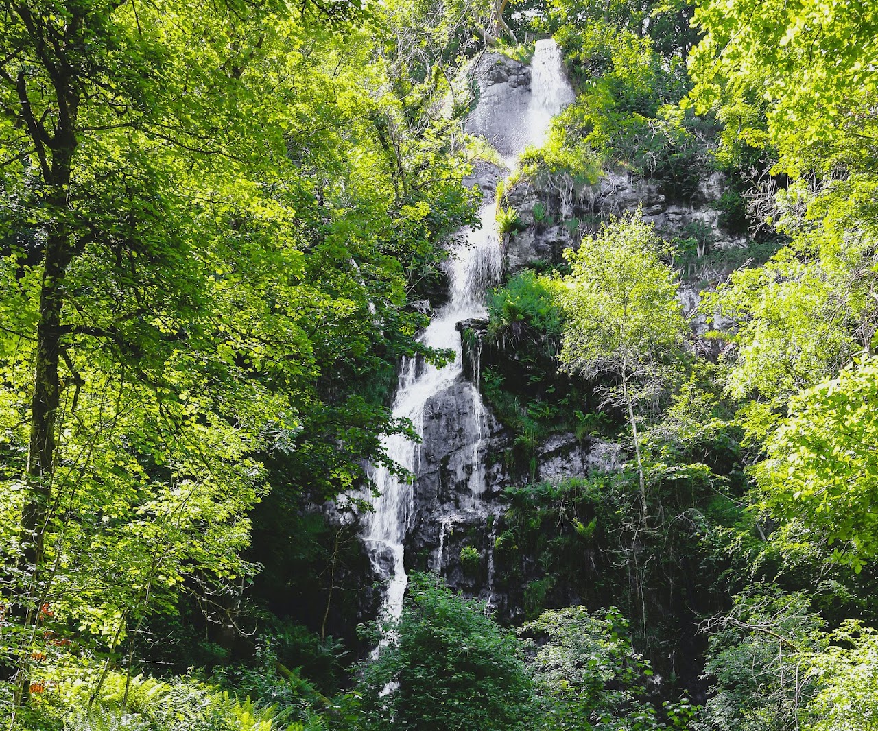 Canonteign Falls