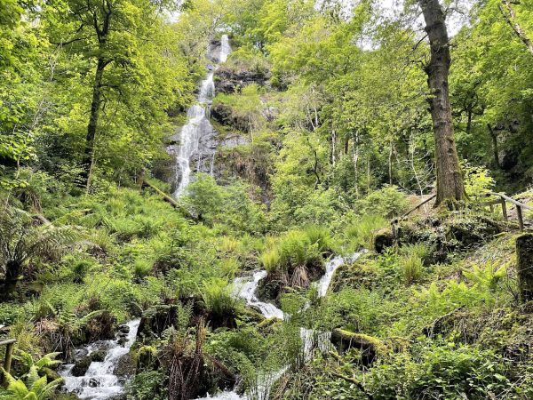 Canonteign Falls