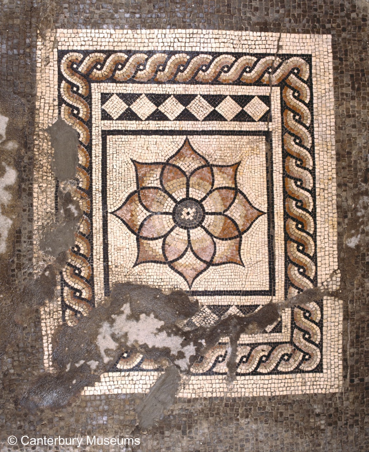 Canterbury Roman Museum