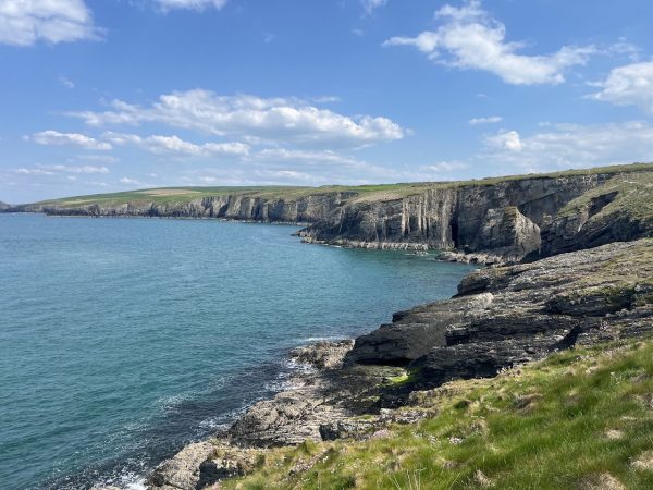 Cardigan Island Coastal Farm Park