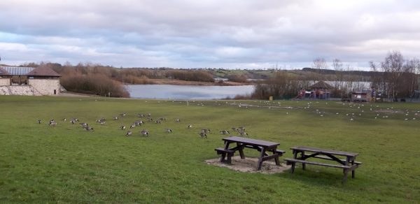 Carsington Water