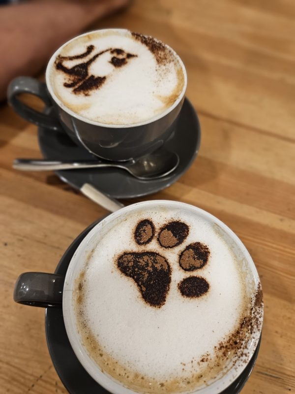 Cat Cafe Liverpool