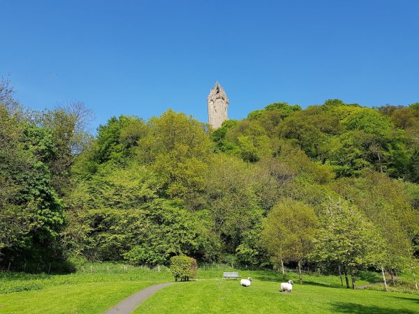 Causewayhead Park