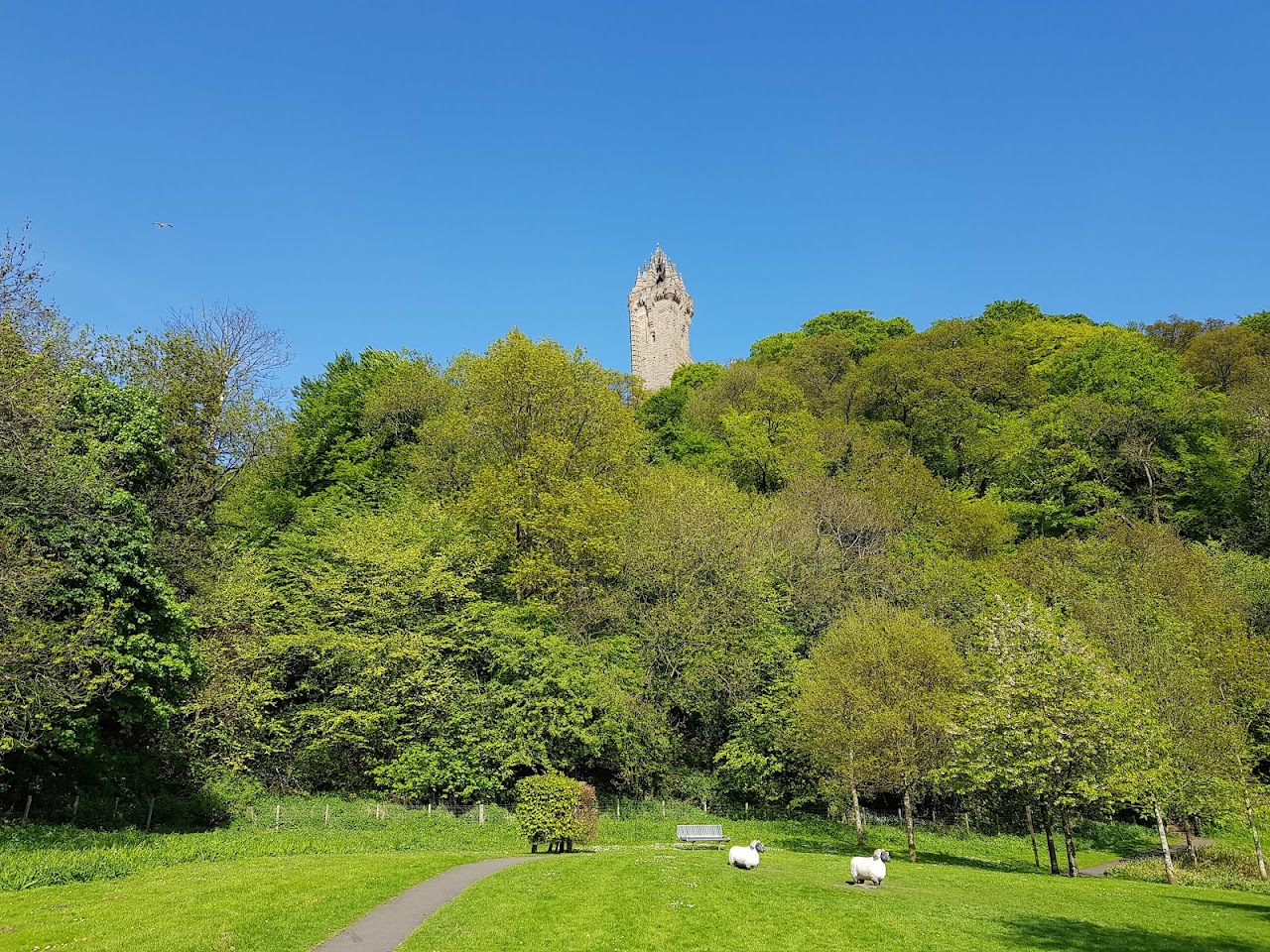 Causewayhead Park