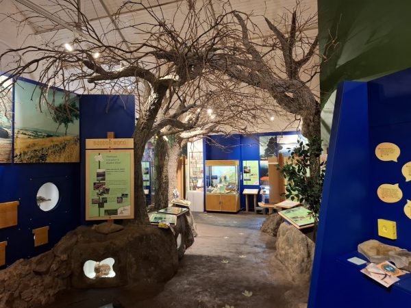 Charnwood Museum