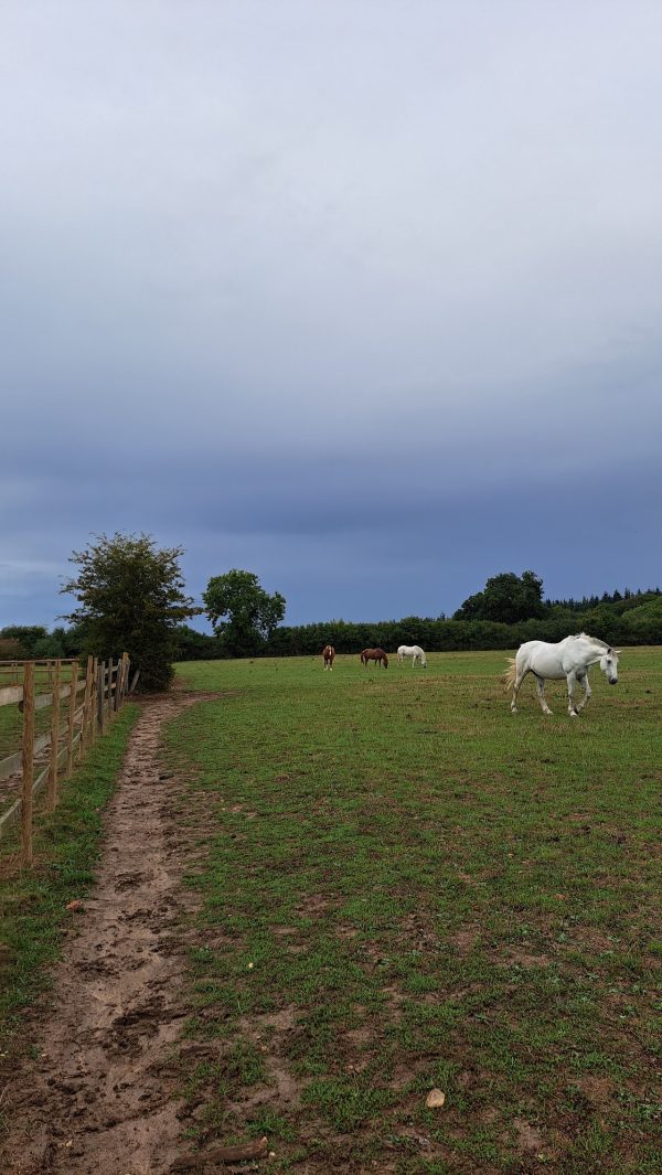 Checkendon Equestrian Centre