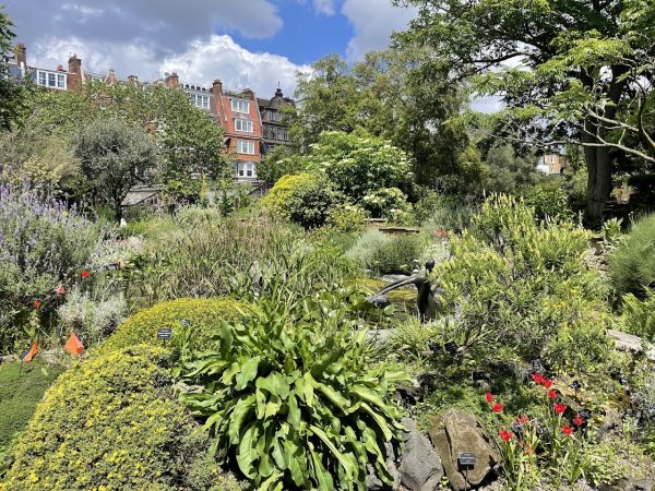 Chelsea Physic Garden