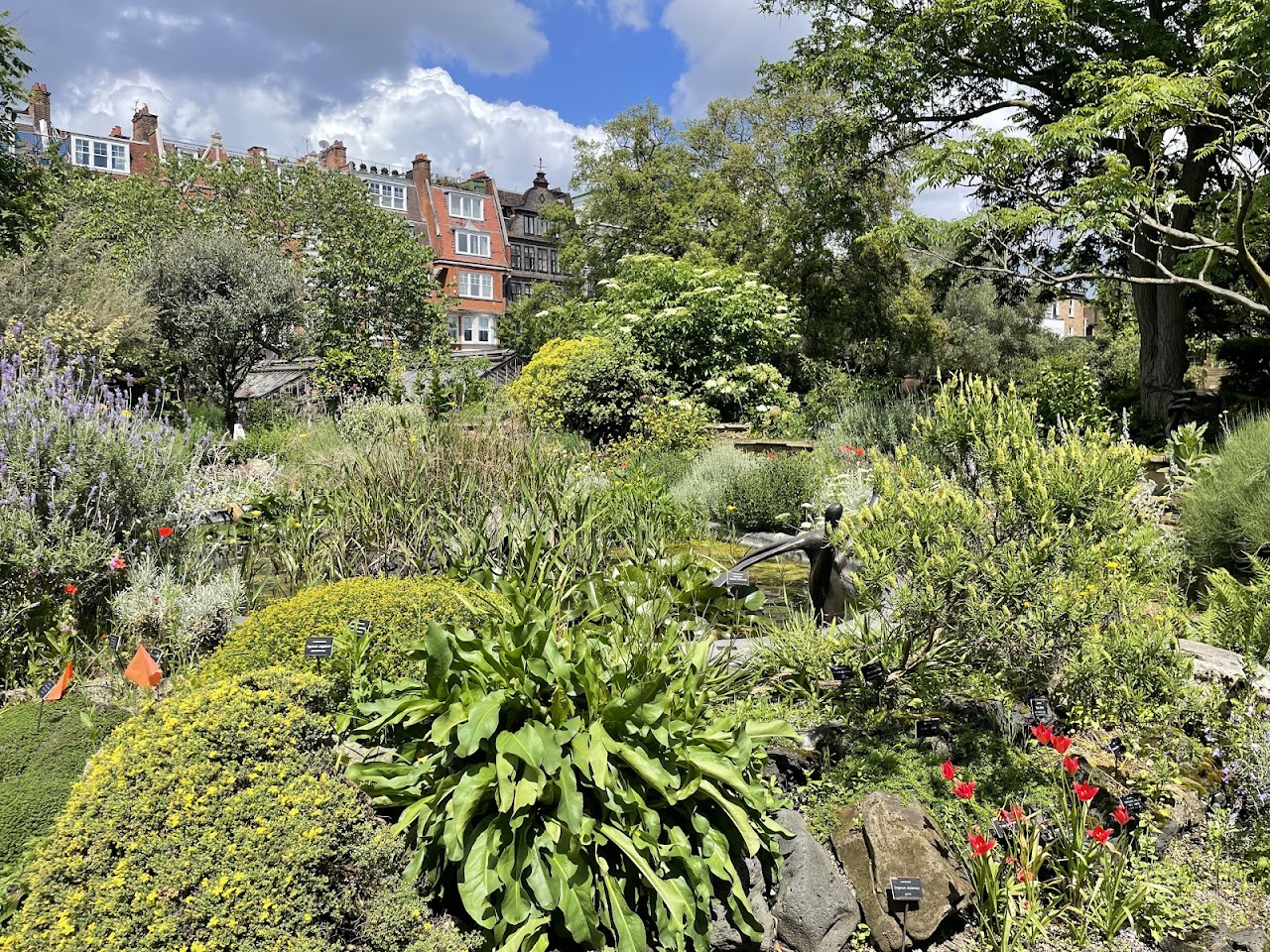 Chelsea Physic Garden