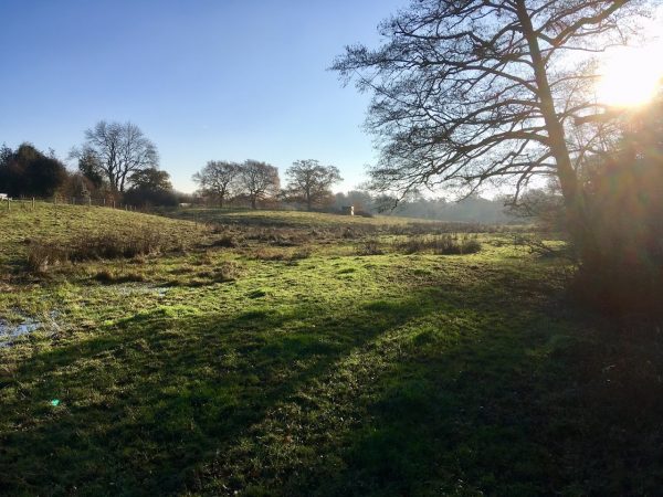 Chesworth Farm