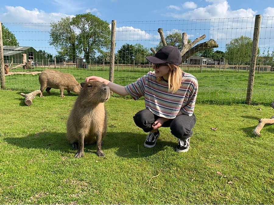 Chew Valley Animal Park
