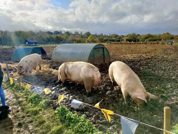 Church Farm