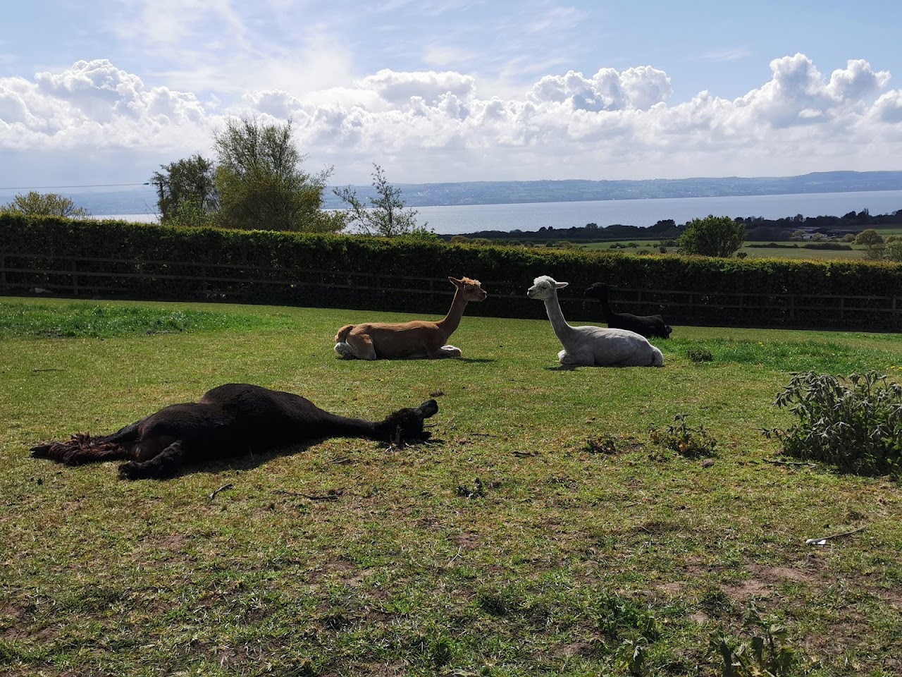 Church Farm Thurstaston