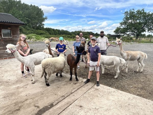 Clary Meadows Alpacas