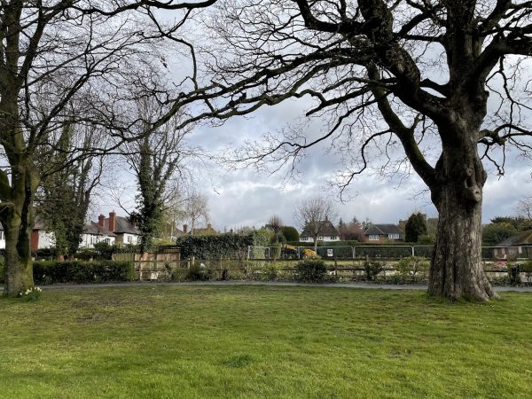 Cliffe Park