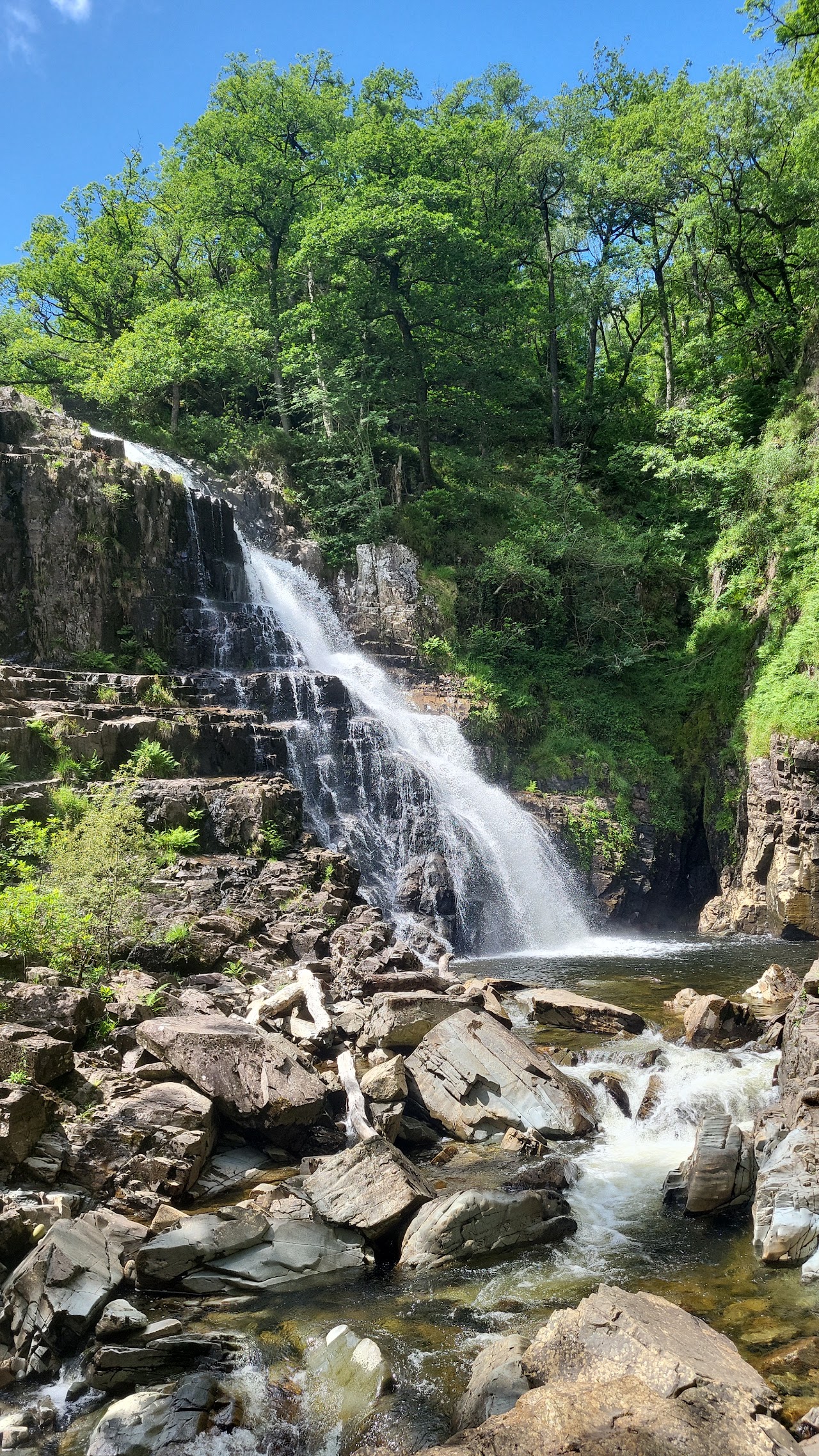 Coed y Brenin Forest Park