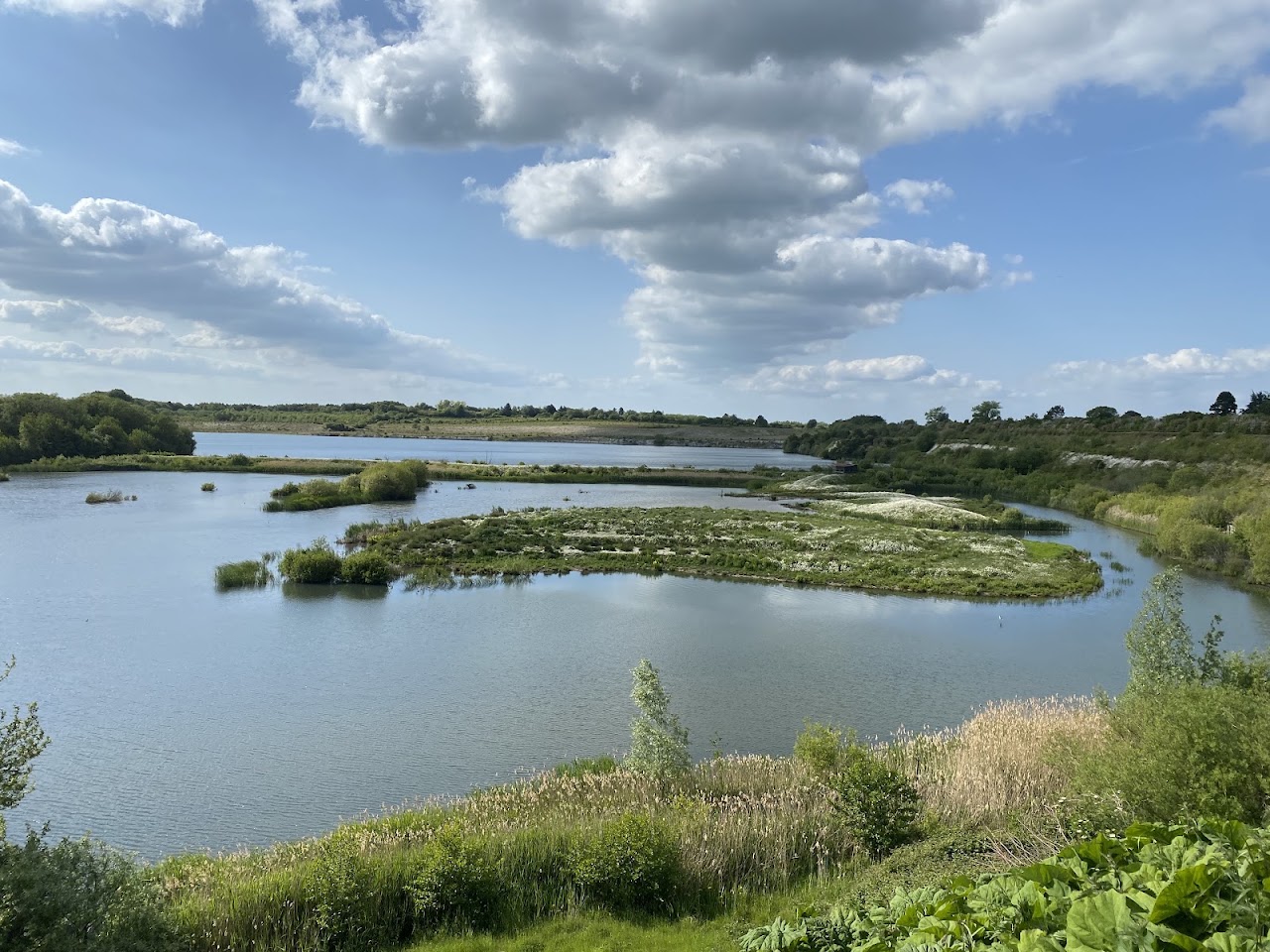 College Lake Nature Reserve