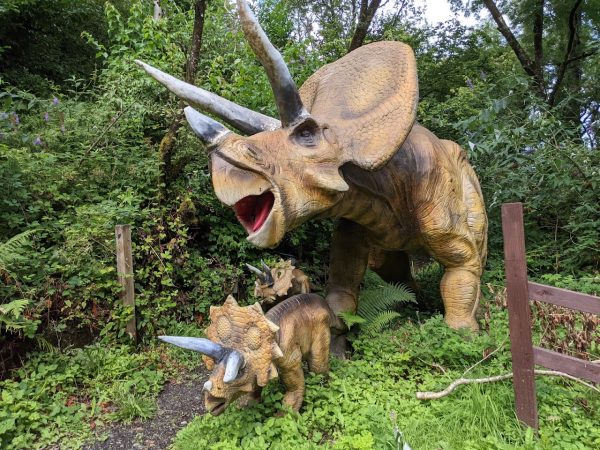 Combe Martin Wildlife & Dinosaur Park