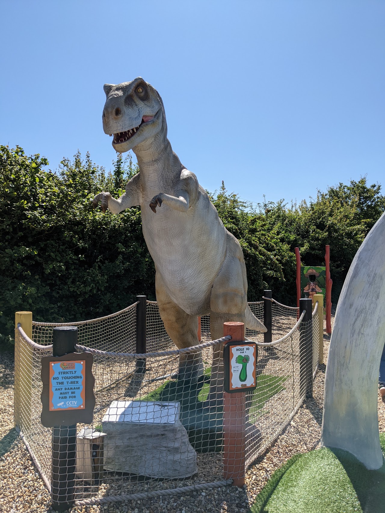 Congo Rapids Adventure Golf