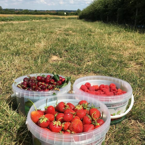 Copas Farm Cookham
