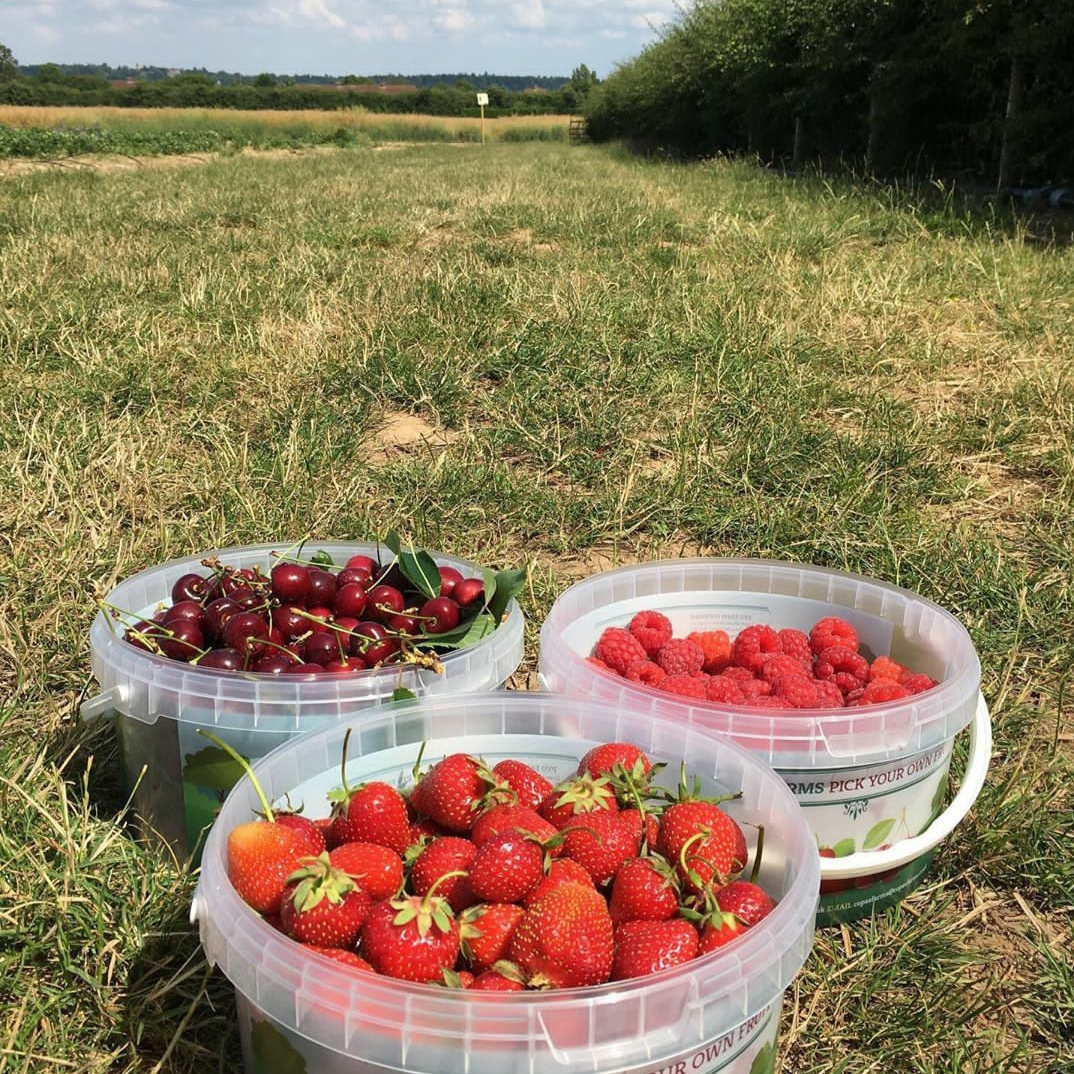 Copas Farm Cookham