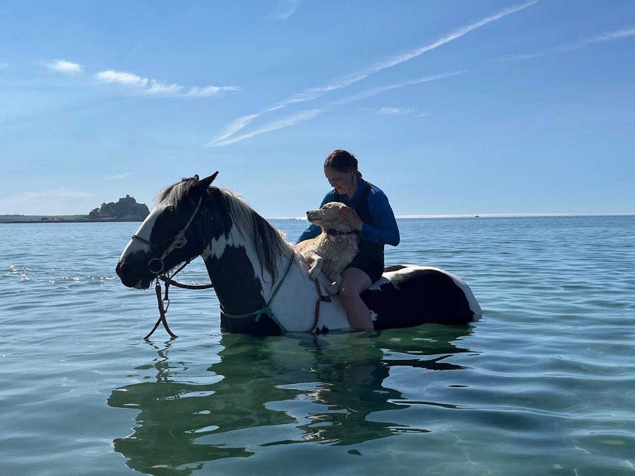 Cornwall Swimming Horses