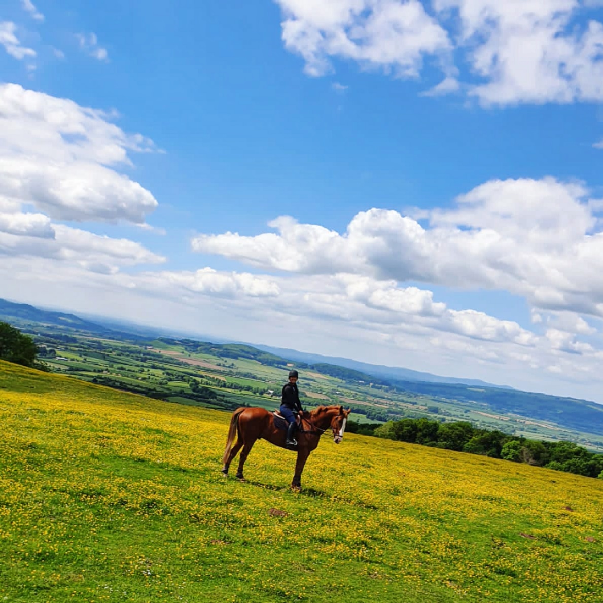 Cotswolds Riding