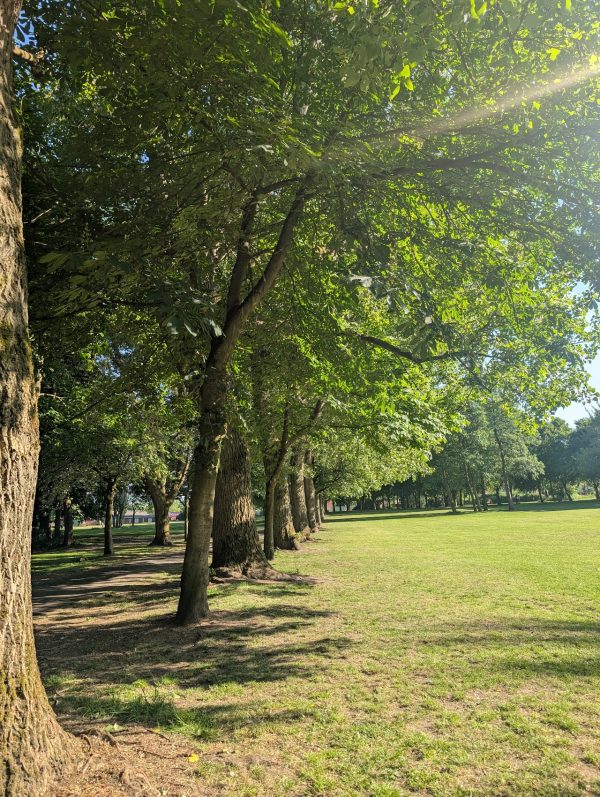 Court Hey Park