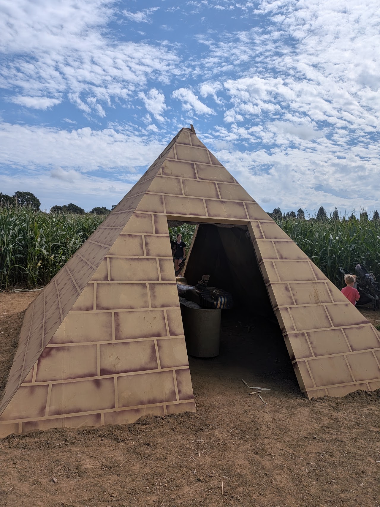 Cowdray's Maize Maze