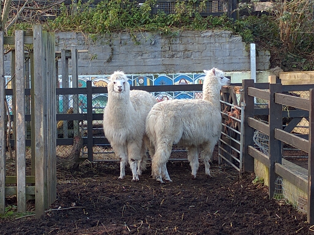 Crystal Palace Farm London