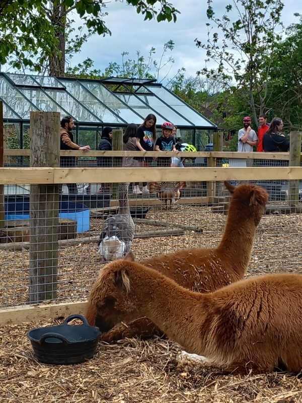 Crystal Palace Farm London