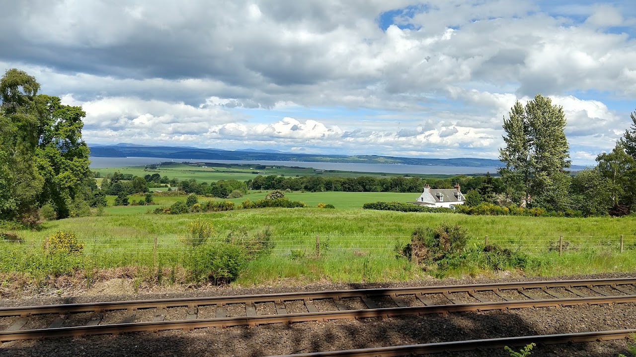 Culloden Wood