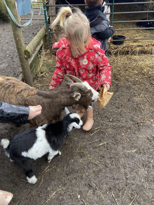 Daisy May’s Farm
