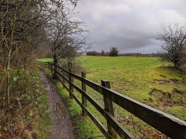 Daisy Nook Country Park
