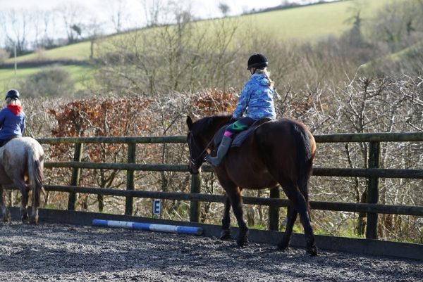 Dean Riding Stables