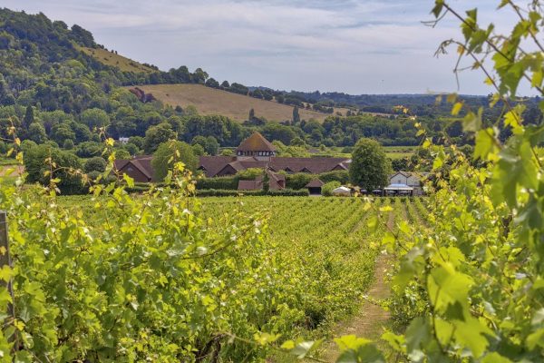 Denbies Wine Estate