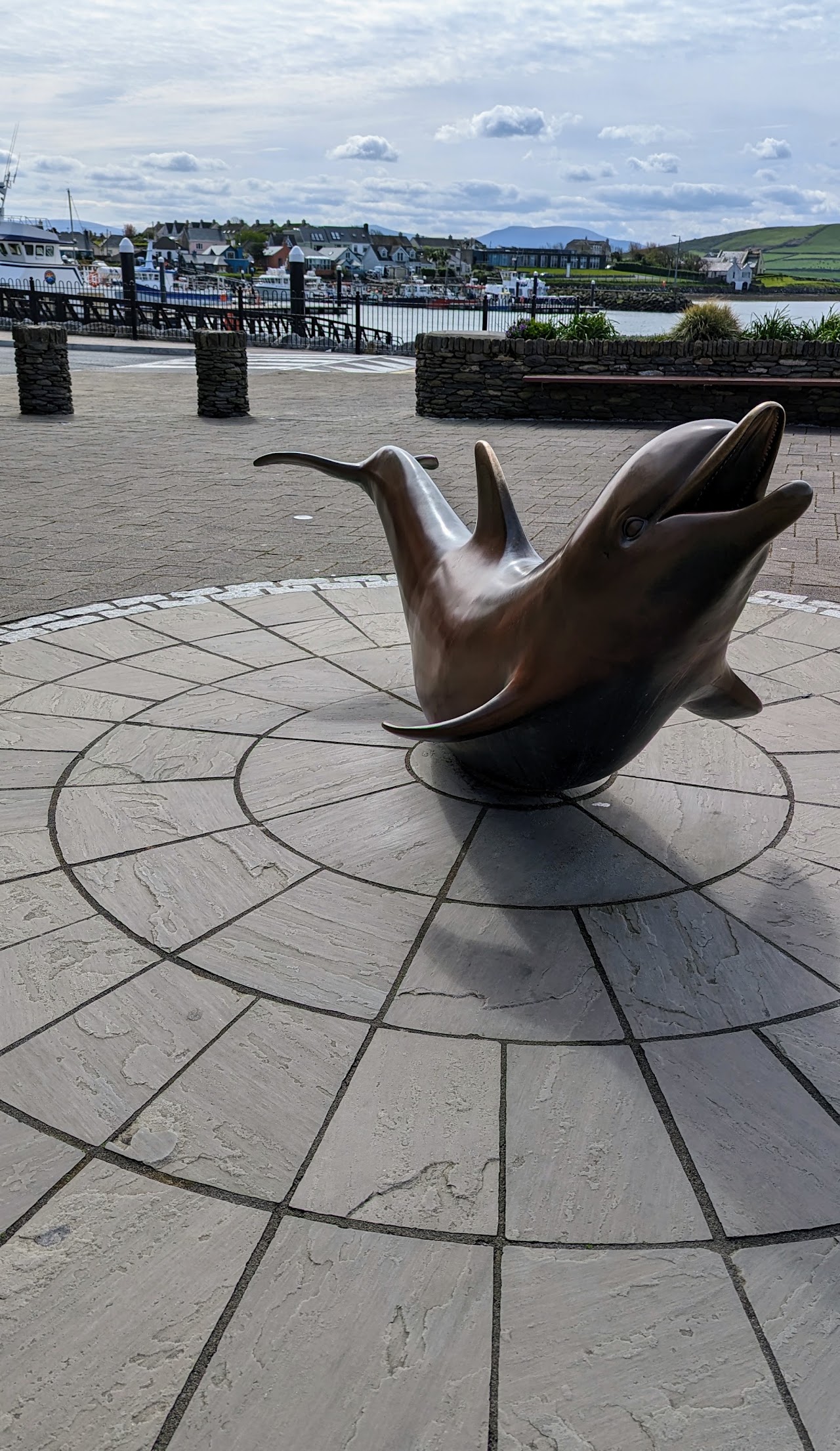 Dingle Dolphin