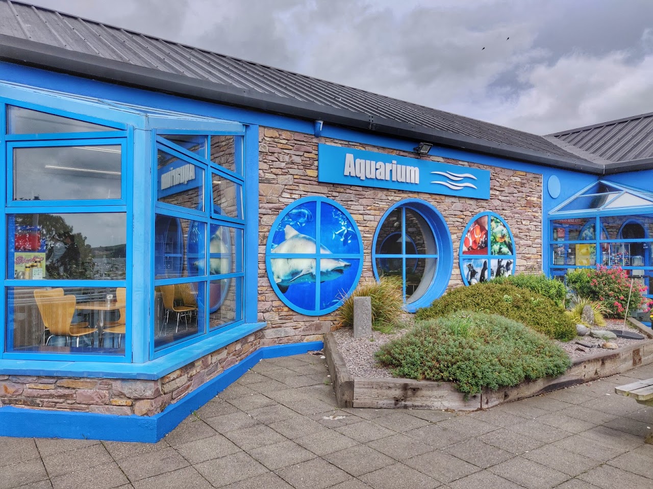 Dingle Oceanworld Aquarium