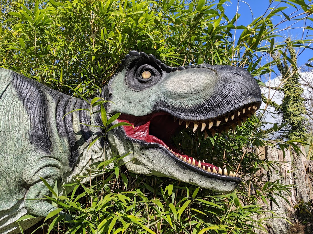 Dino Park