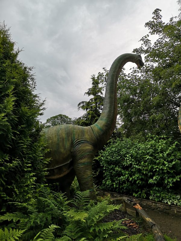 Dino Park