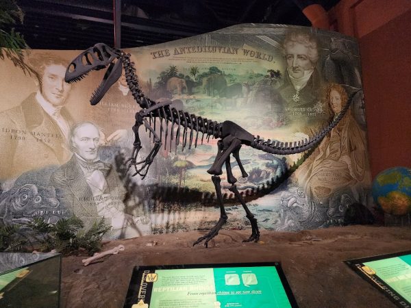 Dinosaur Isle