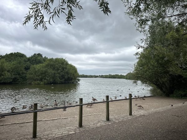 Dinton Pastures Country Park