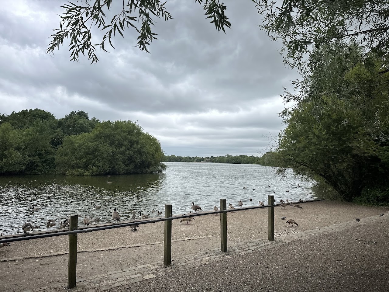 Dinton Pastures Country Park