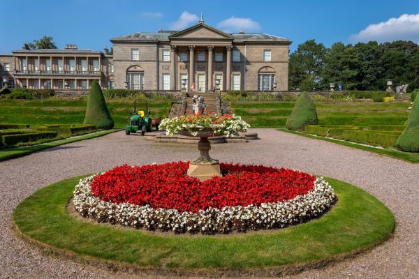 DogFest at Tatton Park