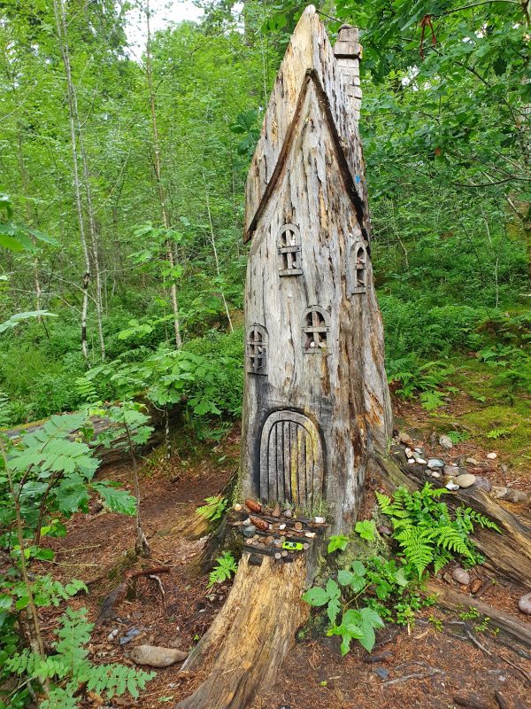 Doon Hill Fairy Walk