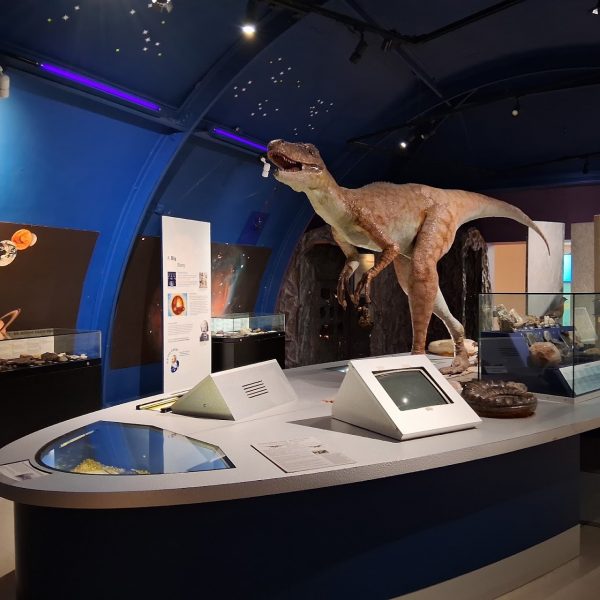 Dorman Museum