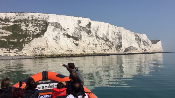 Dover Sea Safari