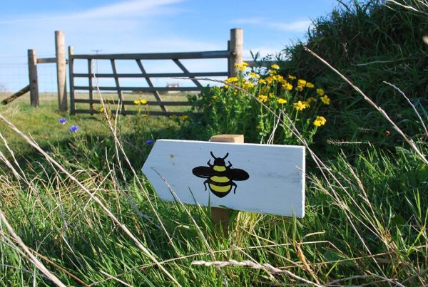 Dr Beynon's Bug Farm