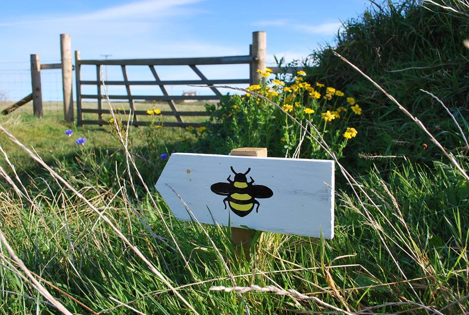 Dr Beynon's Bug Farm
