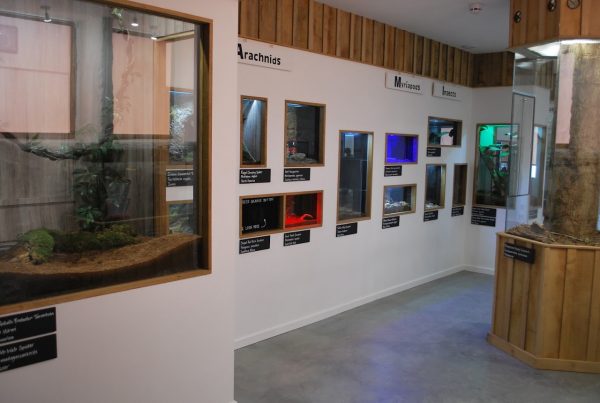 Dr Beynon's Bug Farm
