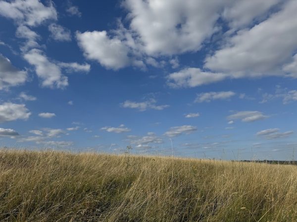 Draycote Water Country Park